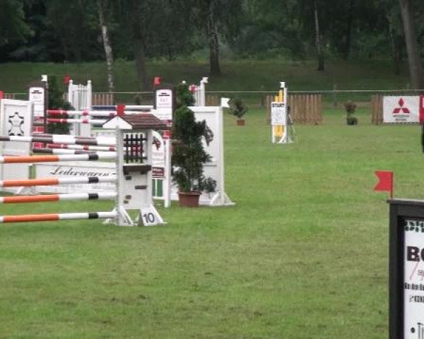 Gardelegen 2012