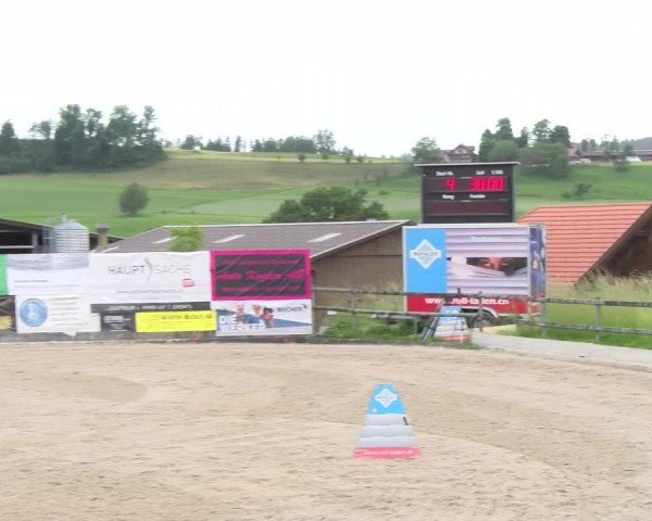 Reitturnier Ruswil 2024