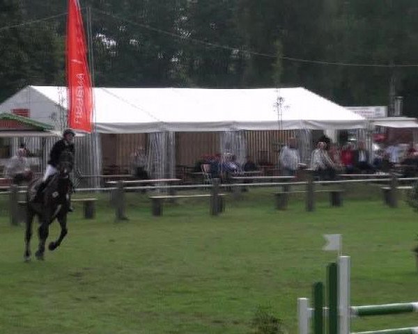 Gardelegen 2012