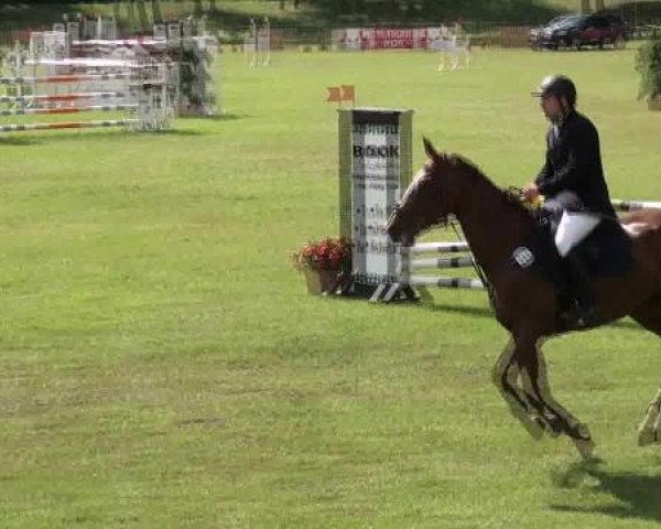Gardelegen 2012