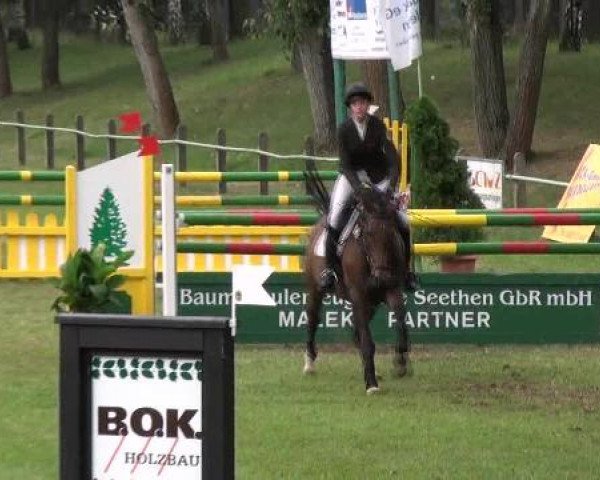 Reitturnier Gardelegen 2012