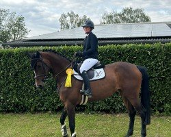 jumper Cashflow 18 (Westphalian, 2020, from Captain Jack 44)