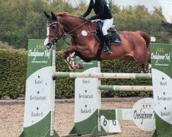jumper Kunkels Kalistra (KWPN (Royal Dutch Sporthorse), 2015, from Don Diablo HX)
