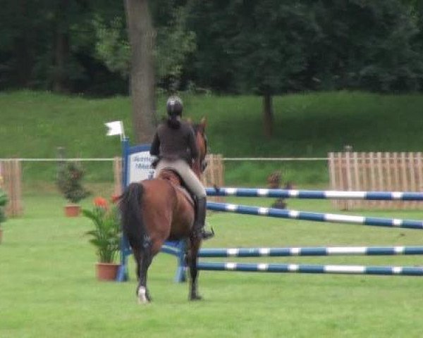 Gardelegen 2012