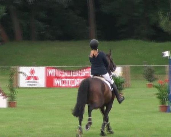 Gardelegen 2012