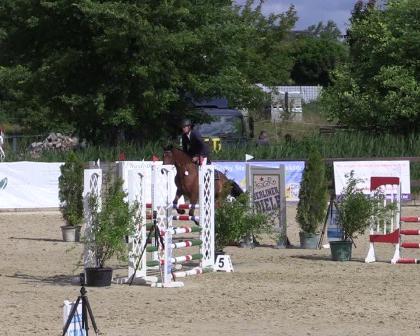 Reitturnier Schönfeld 2024