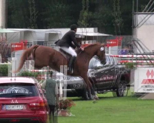 Gardelegen 2012