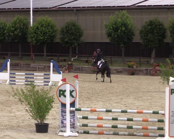 Reitturnier Schönfeld 2024