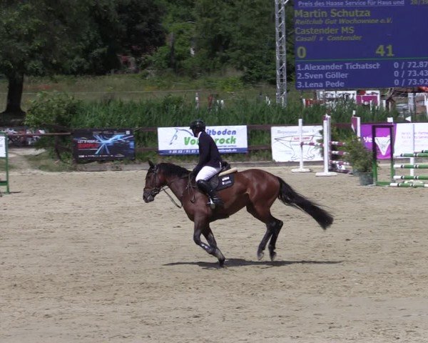 Reitturnier Schönfeld 2024