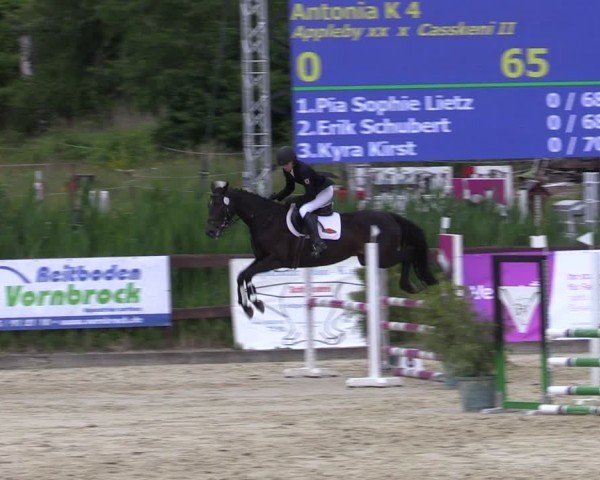 Reitturnier Schönfeld 2024