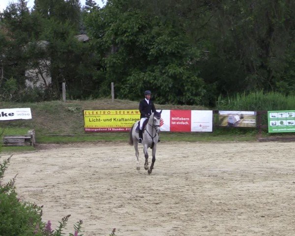 Reitturnier Schönfeld 2024