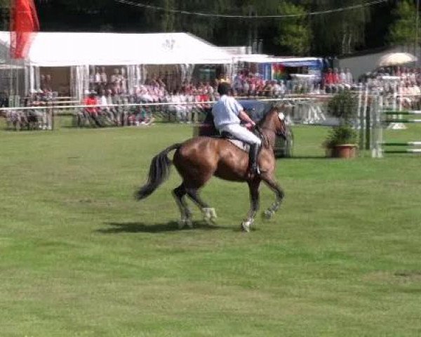 Gardelegen 2012