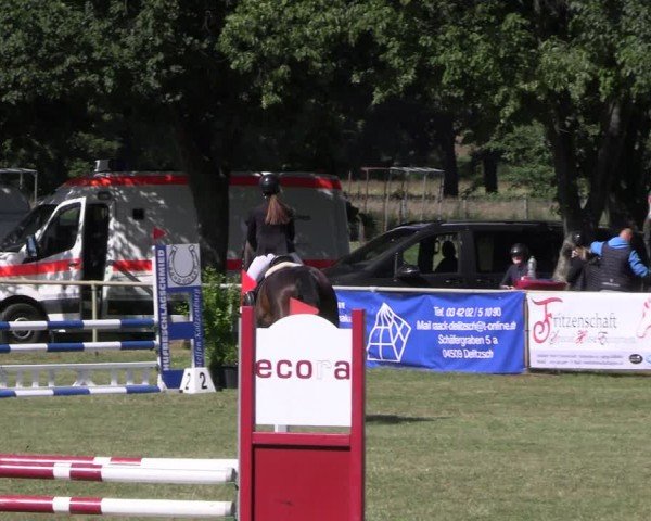 Reitturnier Löbnitz 2024