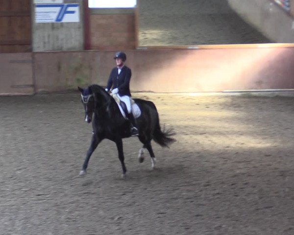 Reitturnier Herzebrock-Rheda 2021