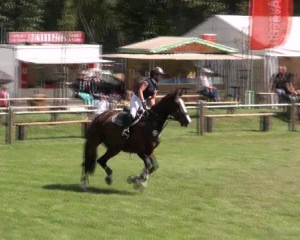 Gardelegen 2012