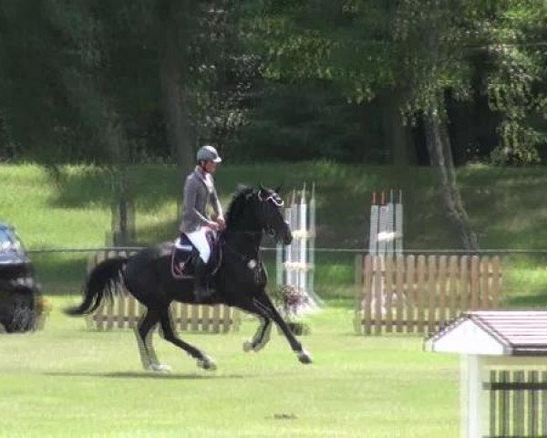 Gardelegen 2012