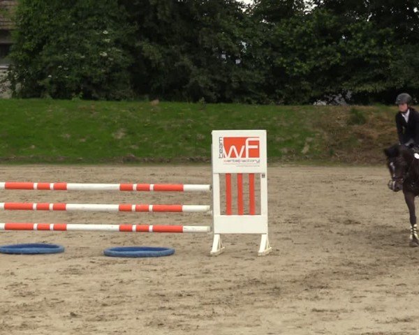 Reitturnier Fröndenberg 2024