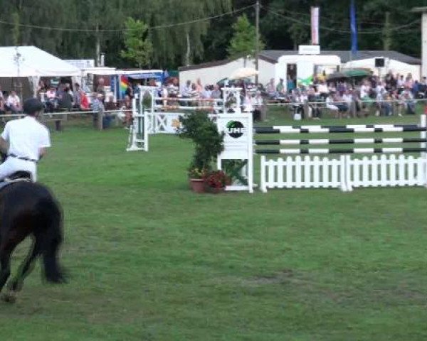 Gardelegen 2012
