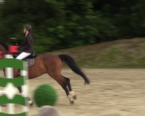 Reitturnier Fröndenberg 2024