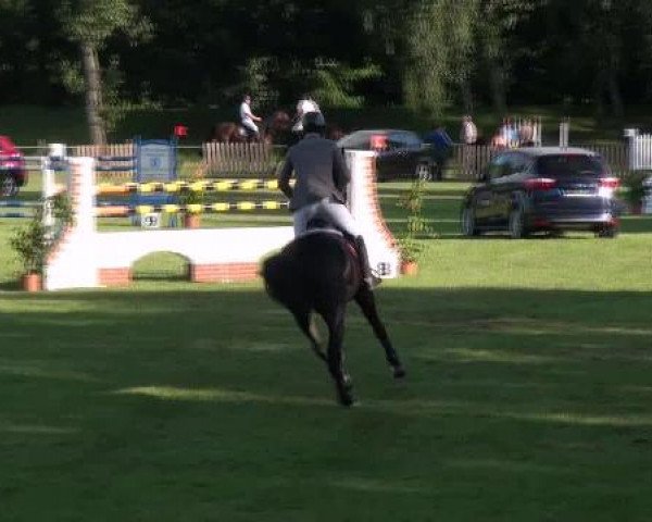 Gardelegen 2012