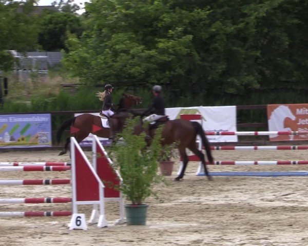 Reitturnier Schönfeld 2024