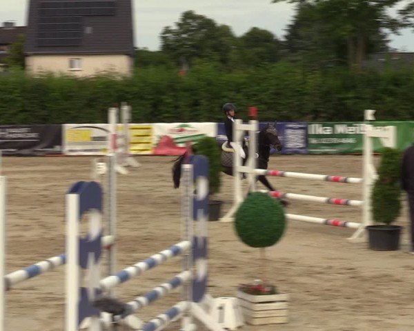 Reitturnier Fröndenberg 2024