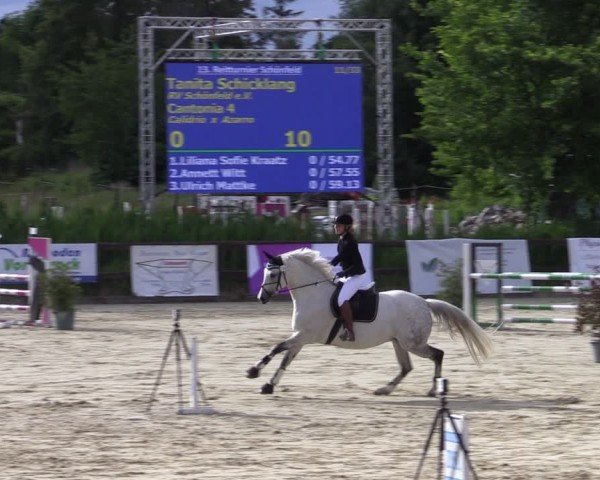 Reitturnier Schönfeld 2024