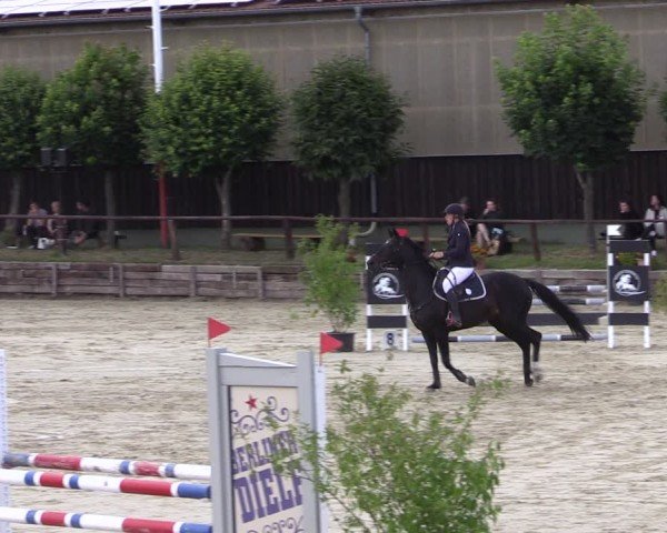 Reitturnier Schönfeld 2024