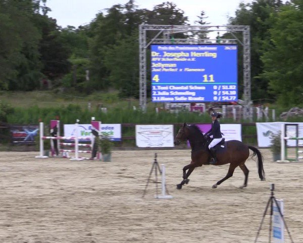 Reitturnier Schönfeld 2024