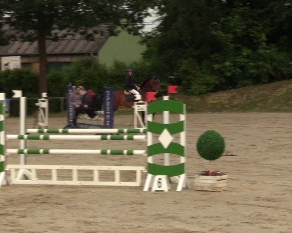 Reitturnier Fröndenberg 2024