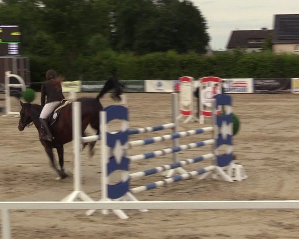 Reitturnier Fröndenberg 2024