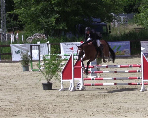 Reitturnier Schönfeld 2024