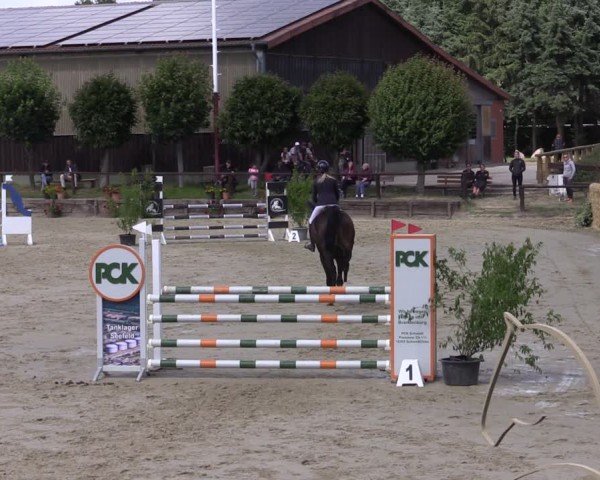 Reitturnier Schönfeld 2024