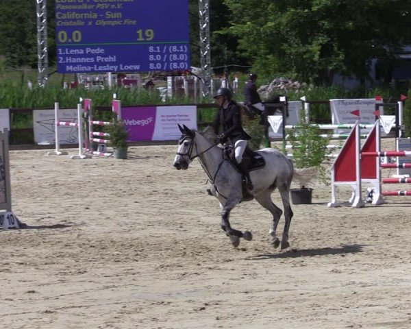 Reitturnier Schönfeld 2024