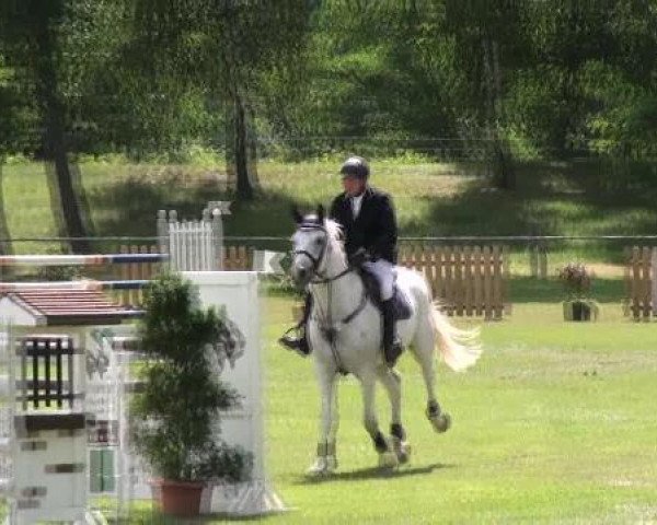 Gardelegen 2012