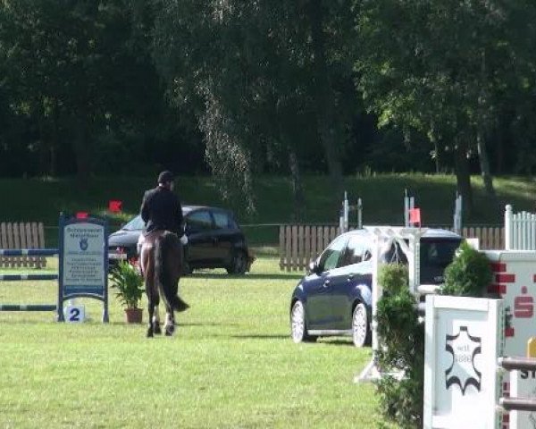 Gardelegen 2012