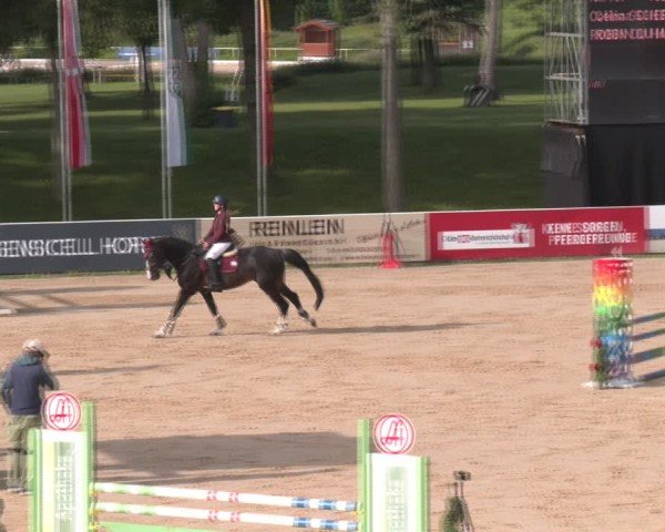 Reitturnier Stadl-Paura 2024