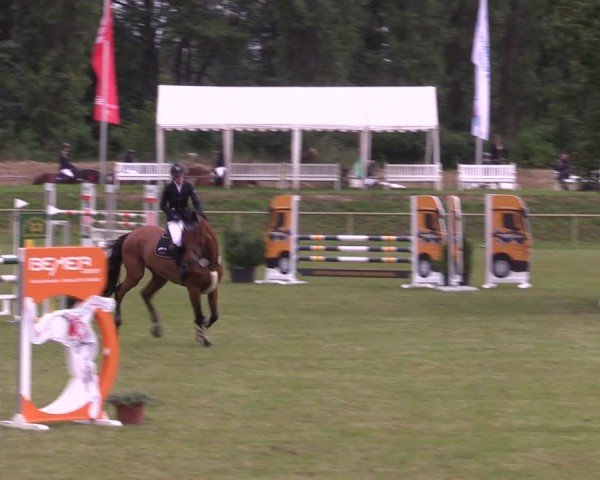 Reitturnier Löbnitz 2024