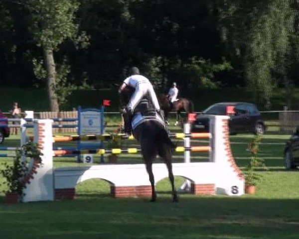 Gardelegen 2012