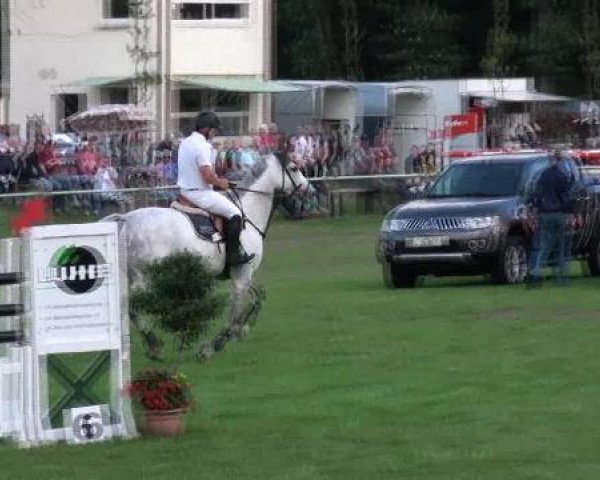 Gardelegen 2012