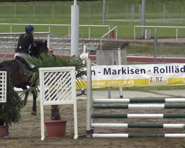 Reitturnier Ranftlhof 2024