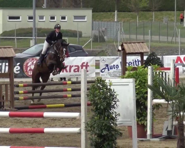 Reitturnier Ranftlhof 2024