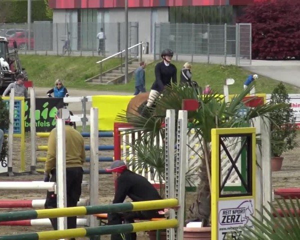 Reitturnier Ranftlhof 2024