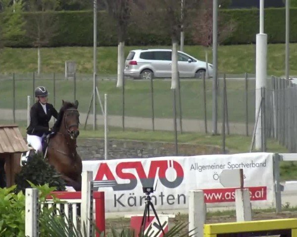 Reitturnier Ranftlhof 2024