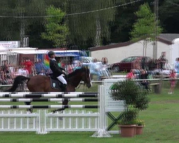 Gardelegen 2012