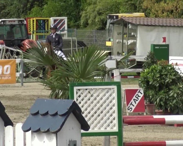 Reitturnier Ranftlhof 2024