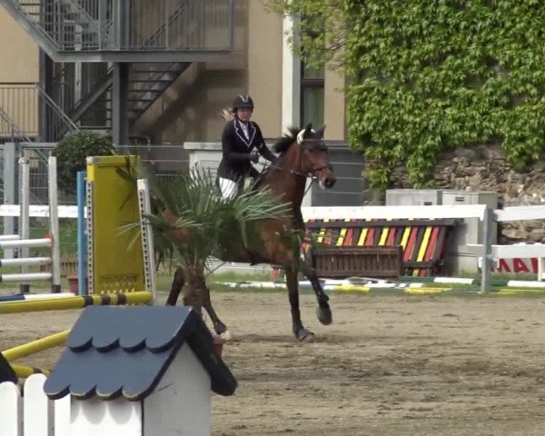 Reitturnier Ranftlhof 2024