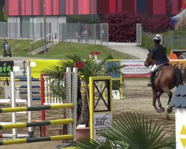 Reitturnier Ranftlhof 2024