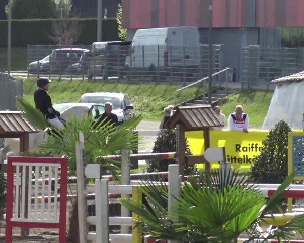 Reitturnier Ranftlhof 2024