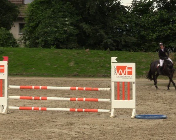 Reitturnier Fröndenberg 2024